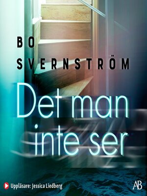 cover image of Det man inte ser